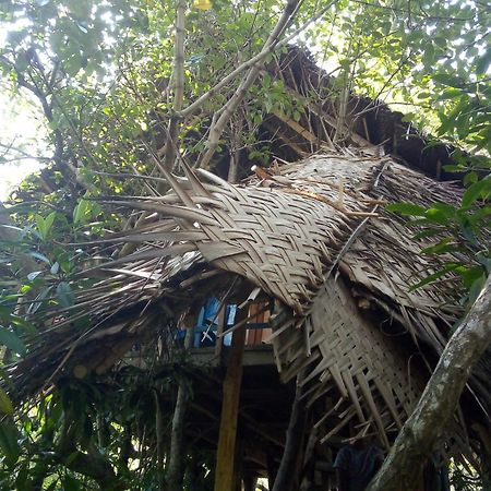 Mermaid Cabana And Tree Houses Тангалла Экстерьер фото