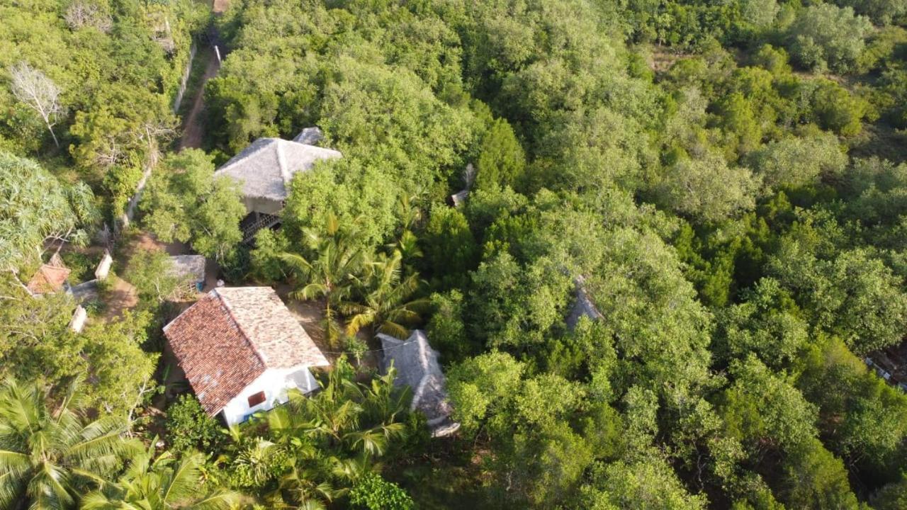 Mermaid Cabana And Tree Houses Тангалла Экстерьер фото