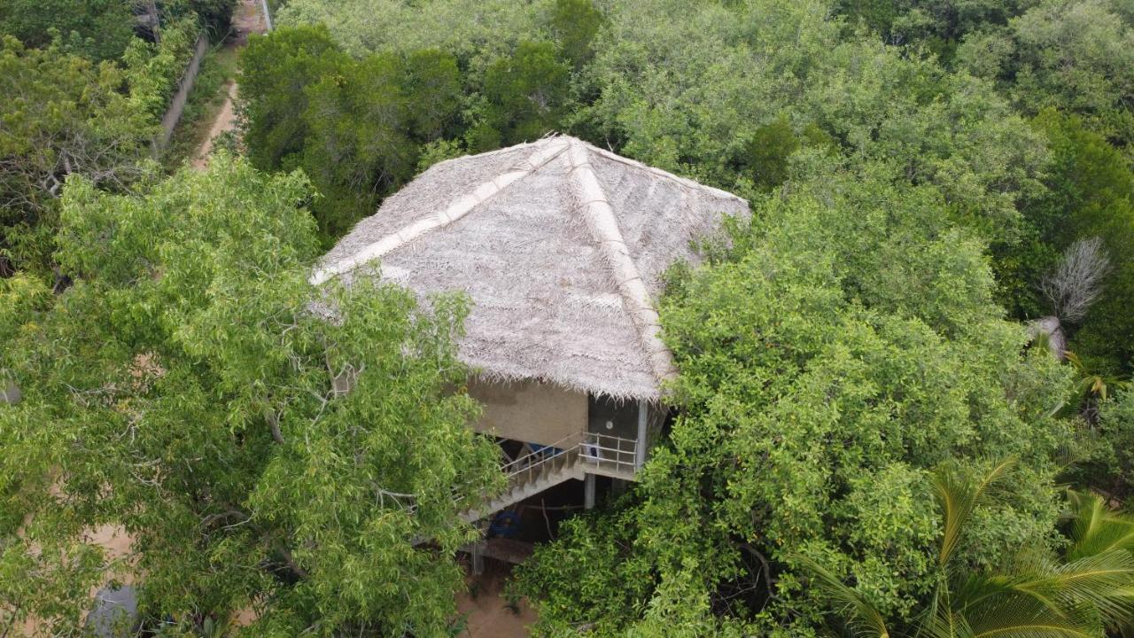 Mermaid Cabana And Tree Houses Тангалла Экстерьер фото
