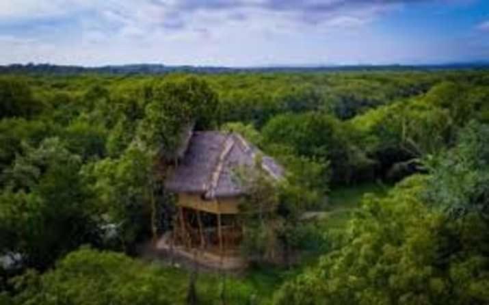 Mermaid Cabana And Tree Houses Тангалла Экстерьер фото