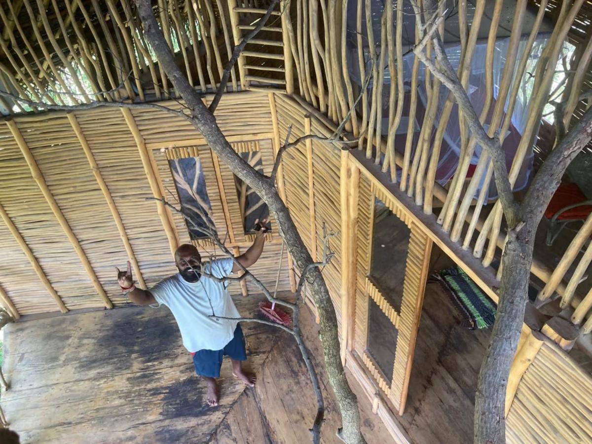 Mermaid Cabana And Tree Houses Тангалла Экстерьер фото