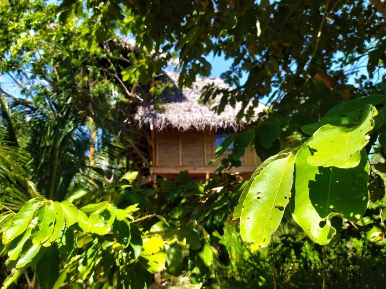Mermaid Cabana And Tree Houses Тангалла Номер фото
