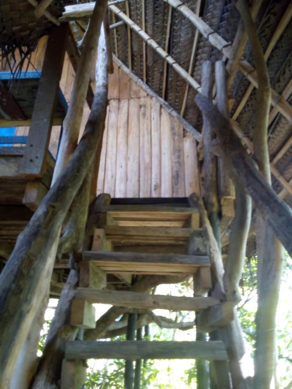 Mermaid Cabana And Tree Houses Тангалла Номер фото