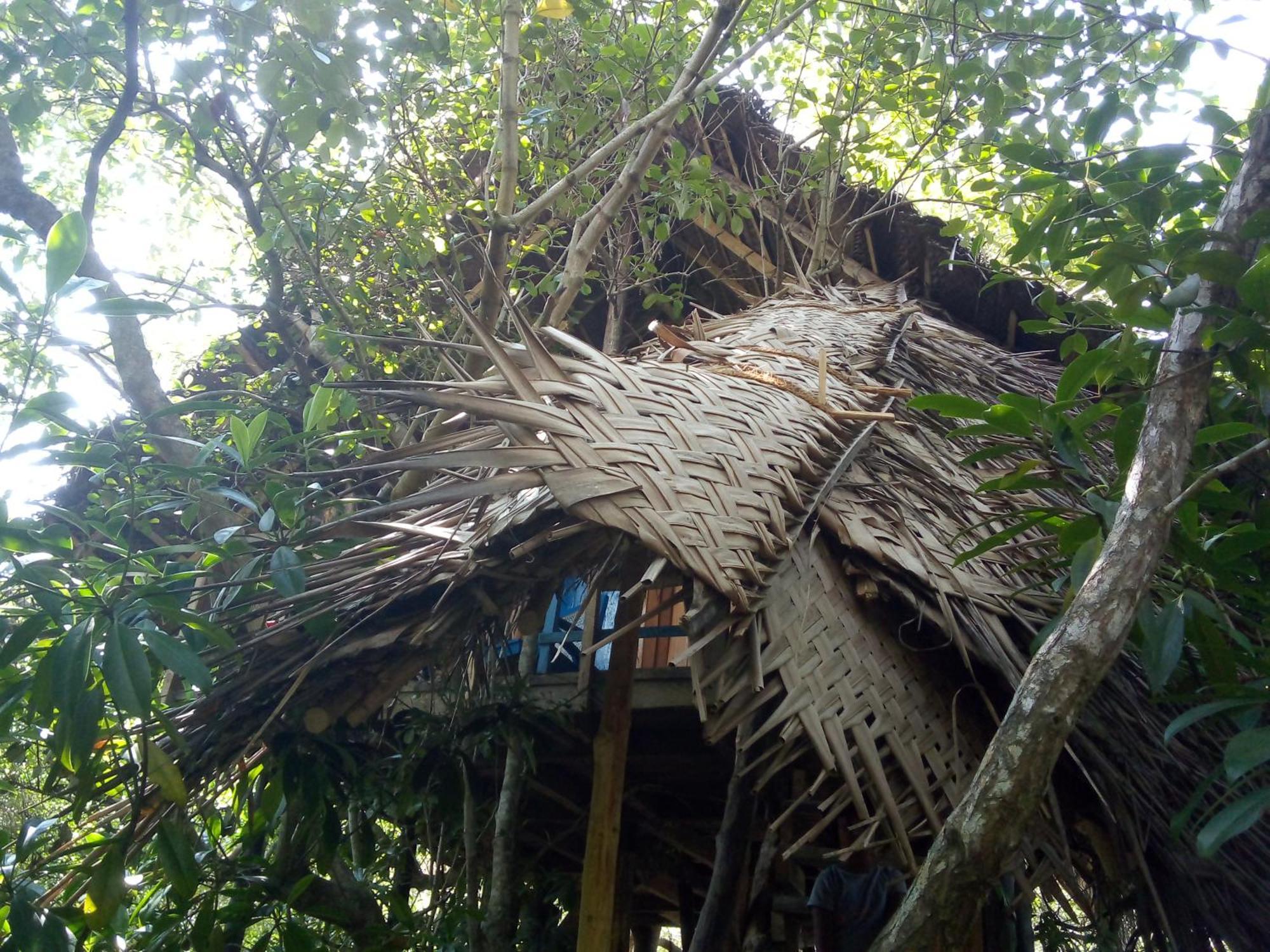 Mermaid Cabana And Tree Houses Тангалла Экстерьер фото