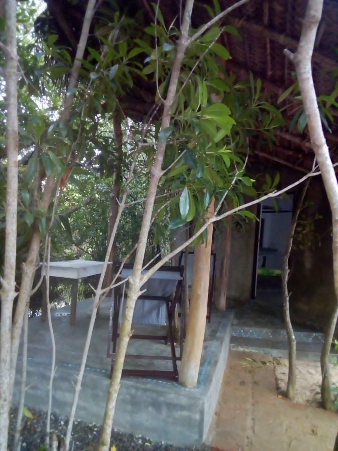 Mermaid Cabana And Tree Houses Тангалла Экстерьер фото