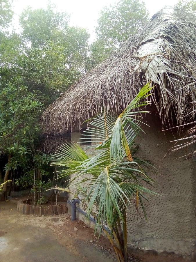 Mermaid Cabana And Tree Houses Тангалла Экстерьер фото