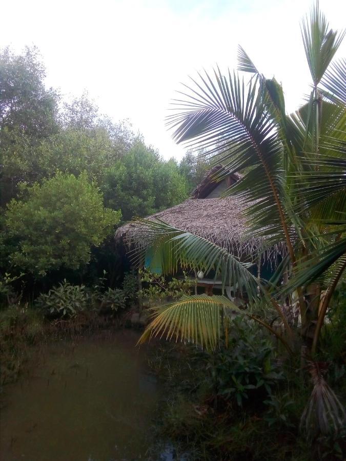 Mermaid Cabana And Tree Houses Тангалла Экстерьер фото