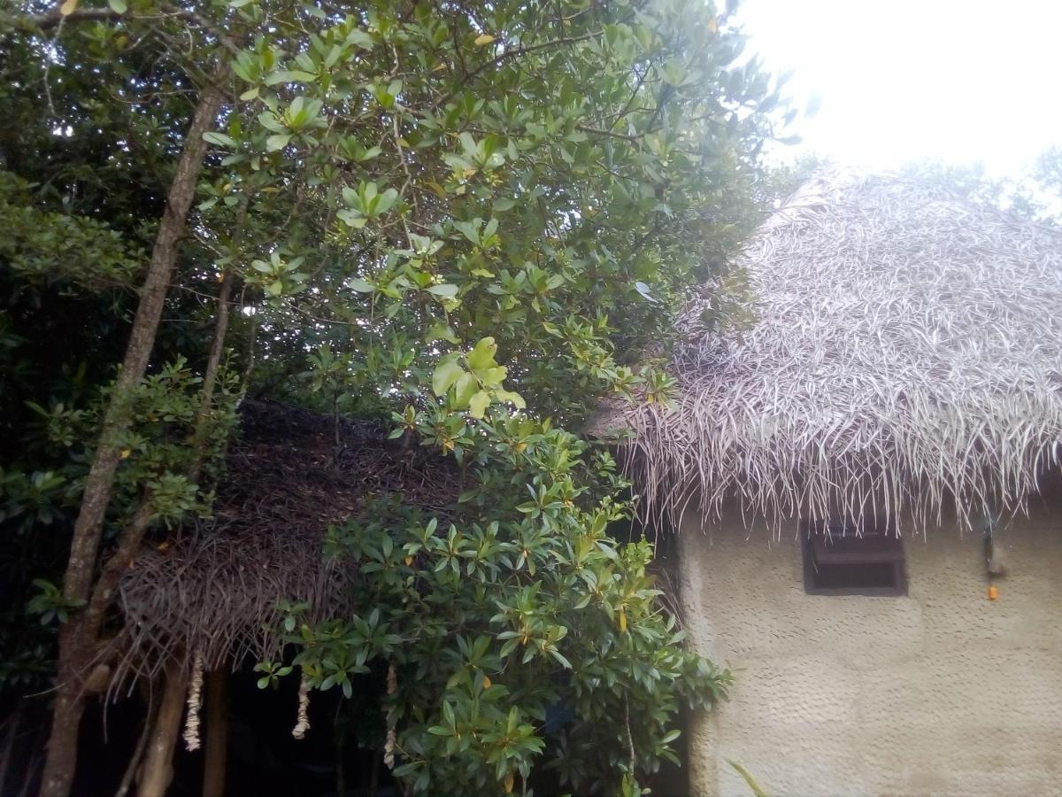 Mermaid Cabana And Tree Houses Тангалла Экстерьер фото
