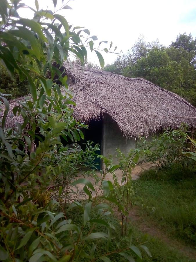 Mermaid Cabana And Tree Houses Тангалла Экстерьер фото