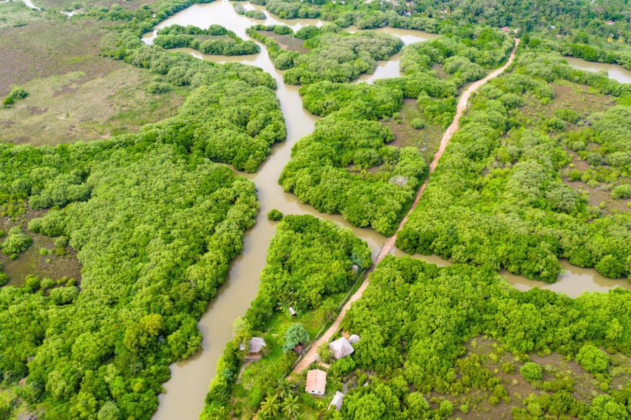 Mermaid Cabana And Tree Houses Тангалла Экстерьер фото