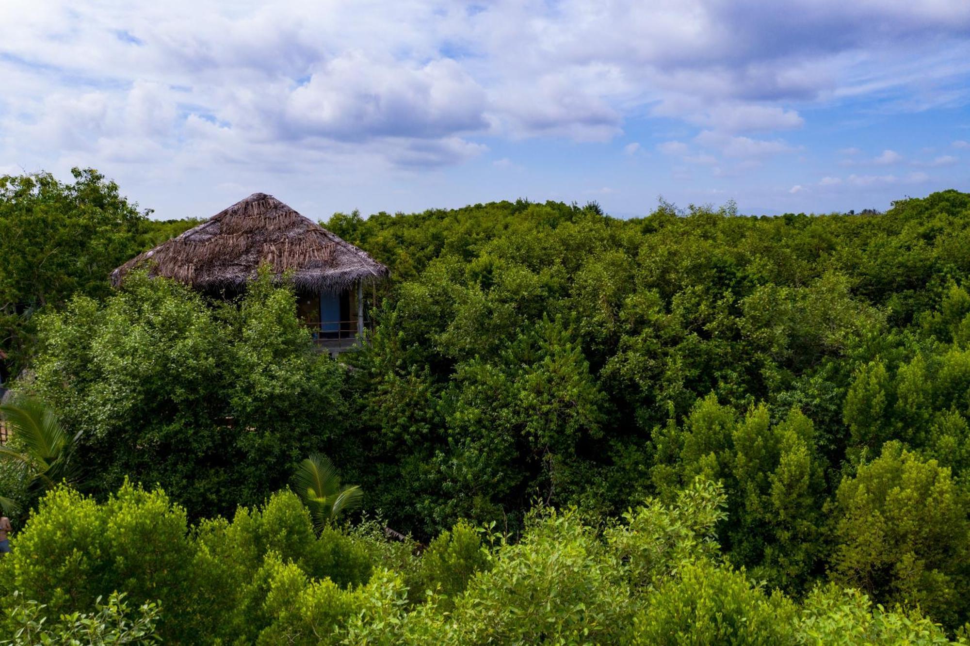 Mermaid Cabana And Tree Houses Тангалла Экстерьер фото