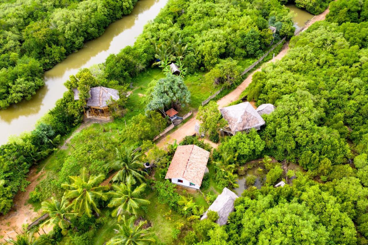 Mermaid Cabana And Tree Houses Тангалла Экстерьер фото