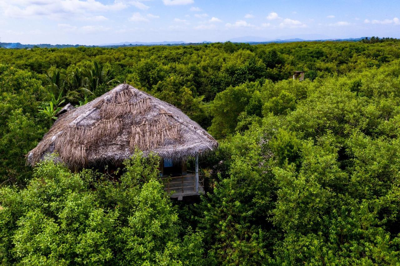 Mermaid Cabana And Tree Houses Тангалла Экстерьер фото
