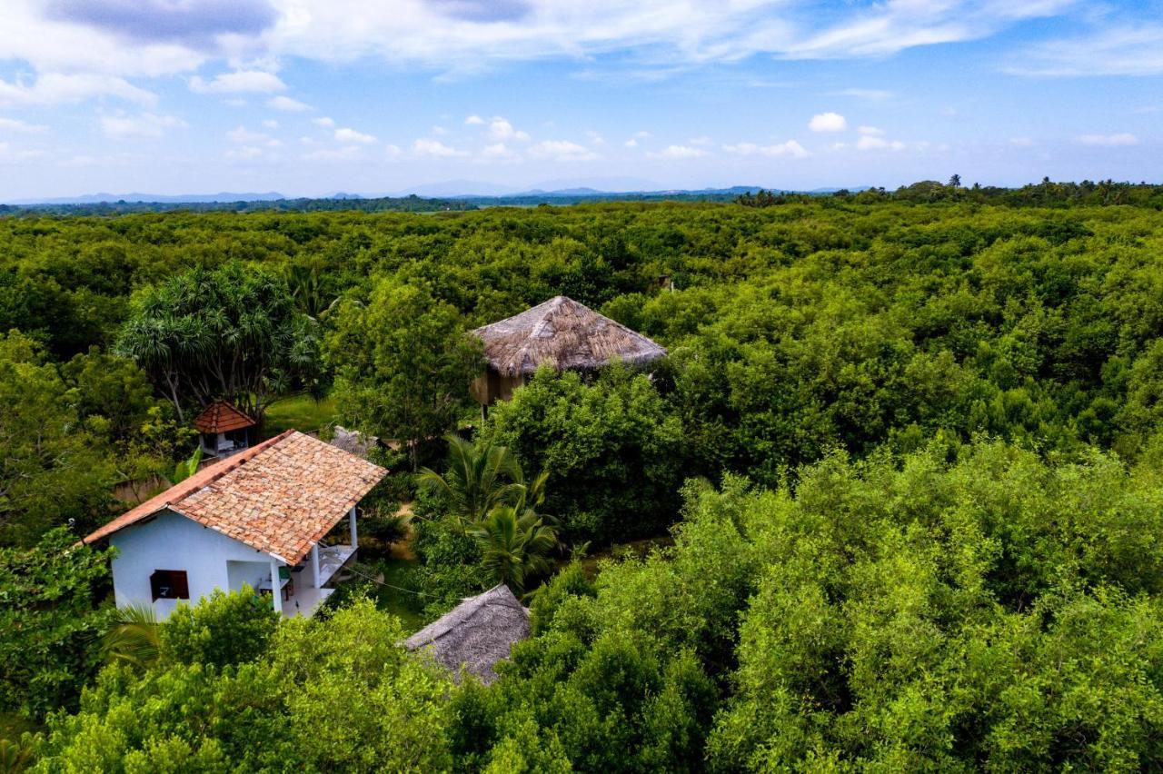 Mermaid Cabana And Tree Houses Тангалла Экстерьер фото