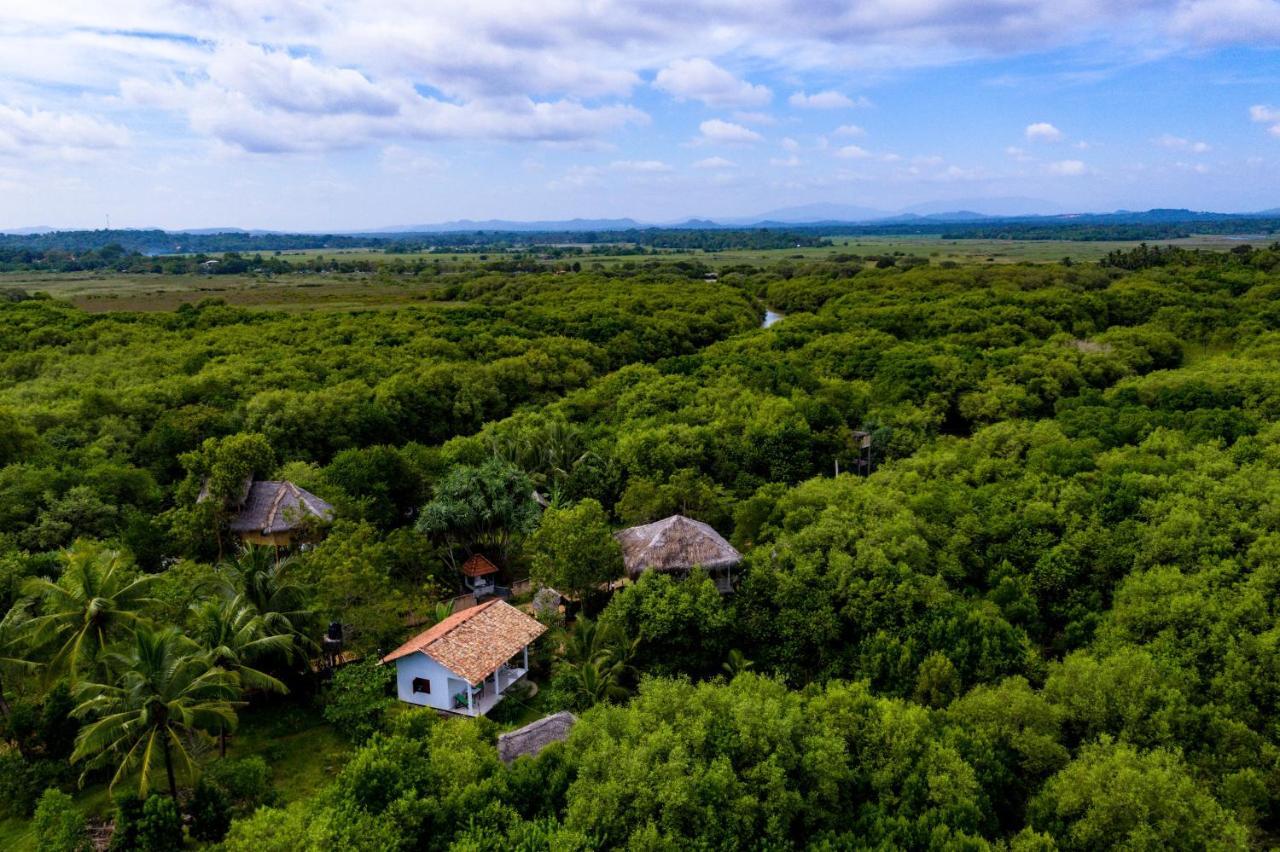 Mermaid Cabana And Tree Houses Тангалла Экстерьер фото