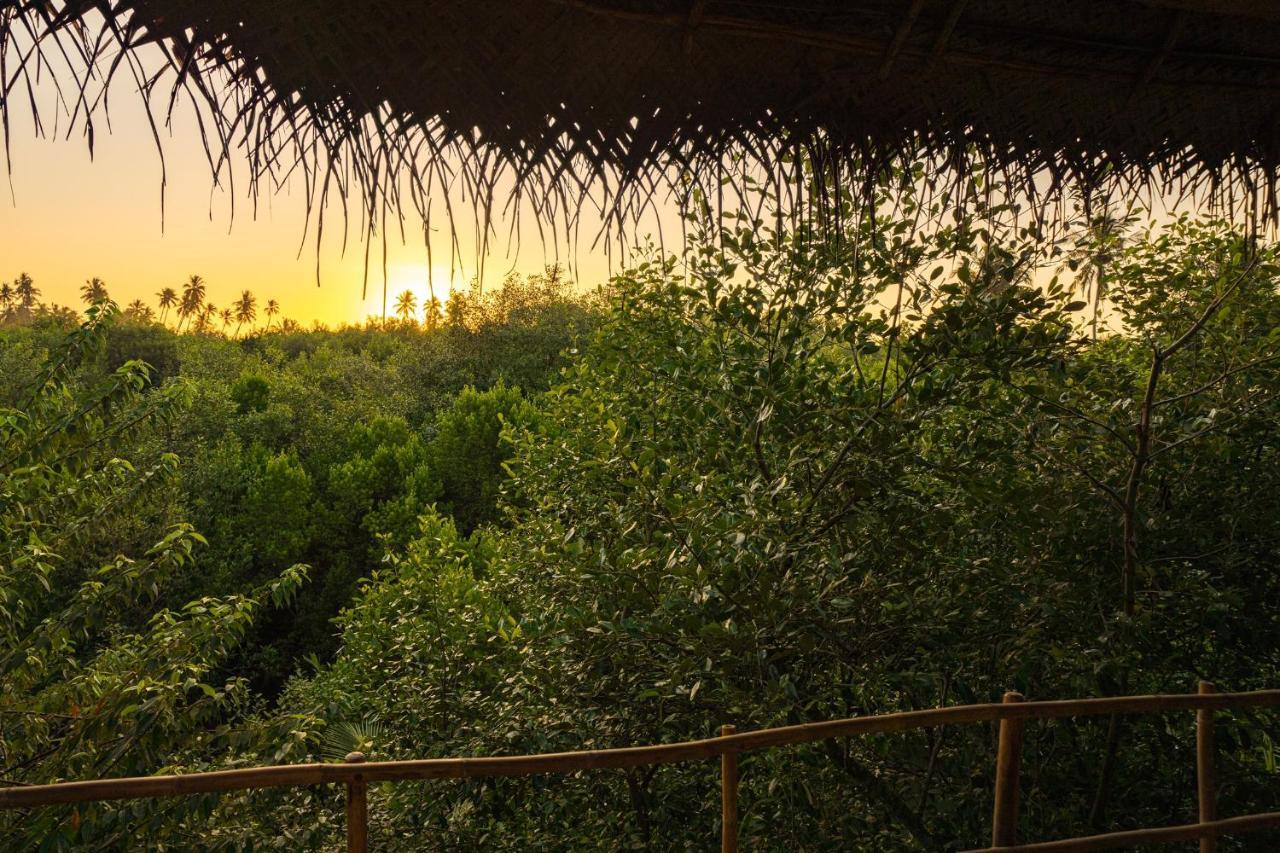 Mermaid Cabana And Tree Houses Тангалла Экстерьер фото