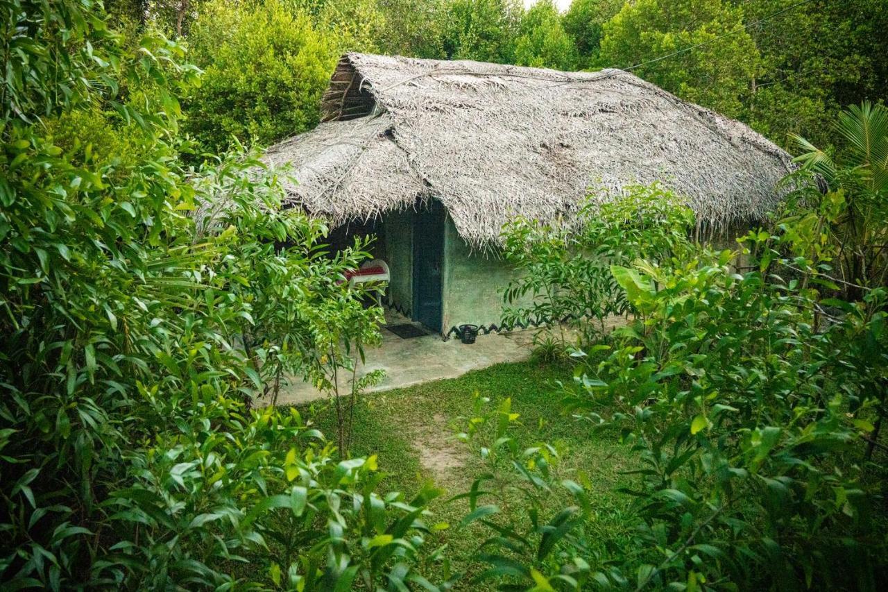 Mermaid Cabana And Tree Houses Тангалла Экстерьер фото